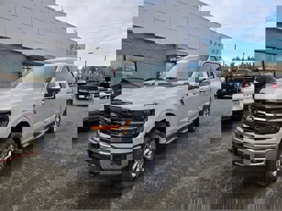 New 2024 Ford F150 XLT w/ Equipment Group 303A High