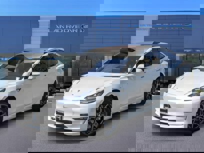 Used 2019 Tesla Model 3 Standard Range Plus