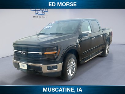 New 2024 Ford F150 XLT w/ Equipment Group 303A High
