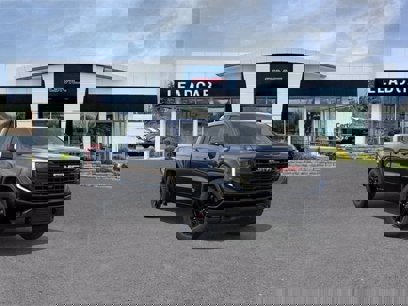 New 2025 GMC Sierra 1500 Elevation
