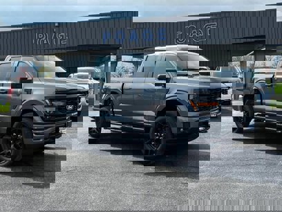 New 2025 Ford F150 STX w/ STX Black Appearance Package