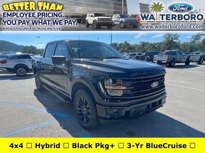 New 2024 Ford F150 XLT w/ Equipment Group 302A MID