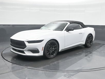 New 2025 Ford Mustang Convertible w/ Mustang Nite Pony Package