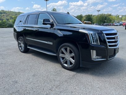 Used 2019 Cadillac Escalade Luxury