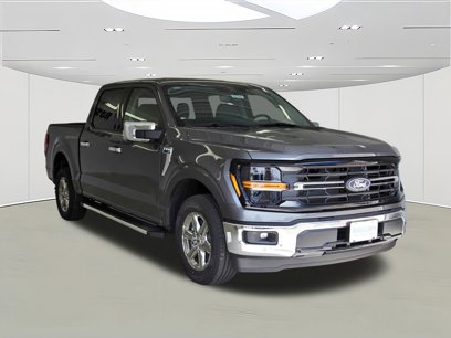 New 2024 Ford F150 XLT w/ Equipment Group 302A MID