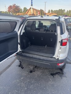 Used 2018 Ford EcoSport SE
