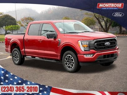 Certified 2023 Ford F150 XLT w/ Equipment Group 302A High