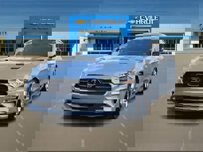 Used 2019 Ford Mustang Premium w/ Equipment Group 201A