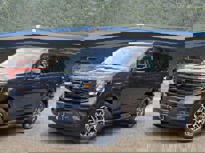 New 2025 Ford Expedition Active