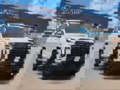 New 2025 Hyundai Palisade XRT