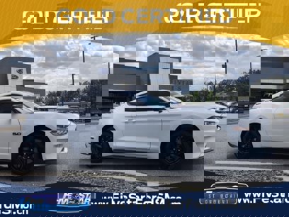 Certified 2023 Ford Mustang GT Premium w/ Mustang Nite Pony Package