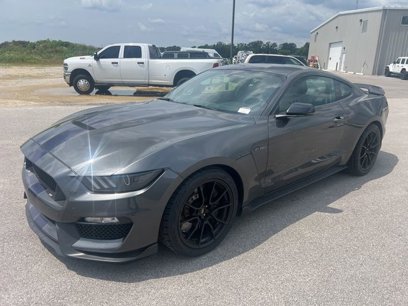 Used 2019 Ford Mustang Shelby GT350 w/ Technology Package