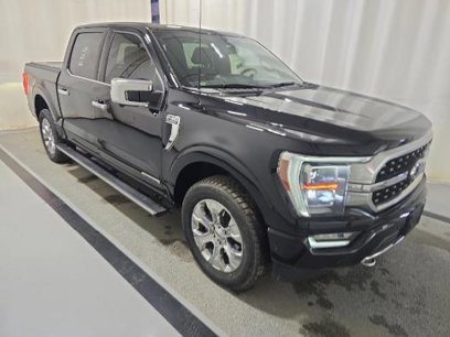 Used 2022 Ford F150 Platinum