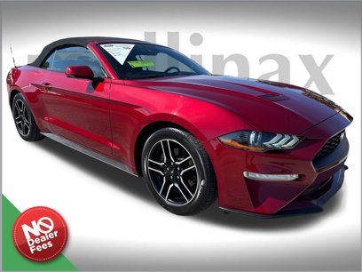 Certified 2019 Ford Mustang Premium w/ Ford Safe & Smart Package