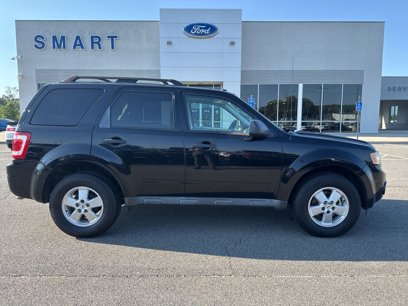 Used 2010 Ford Escape XLT