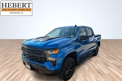 Used 2024 Chevrolet Silverado 1500 Custom Trail Boss w/ LPO, Dark Essentials Package