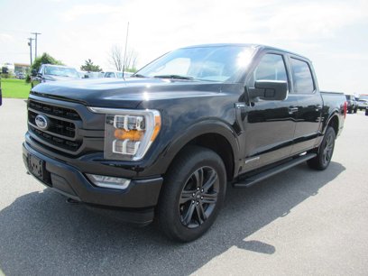 Used 2023 Ford F150 XLT w/ Equipment Group 302A High