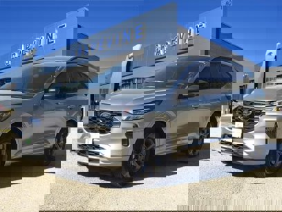New 2024 Ford Escape ST-Line w/ Tech Pack #1