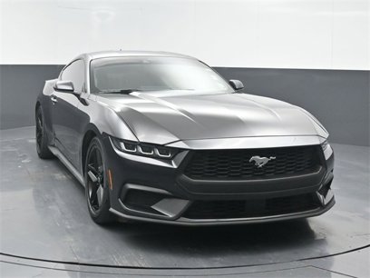 Used 2024 Ford Mustang Coupe