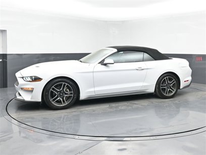 Used 2023 Ford Mustang Premium