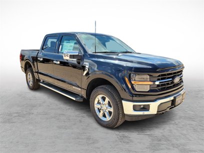 New 2024 Ford F150 XLT w/ Equipment Group 302A MID