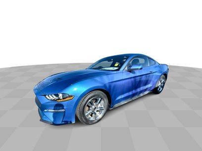 Used 2019 Ford Mustang Coupe