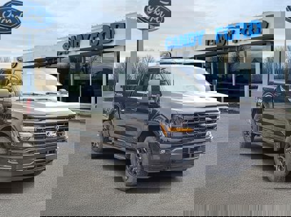 New 2025 Ford F150 XLT
