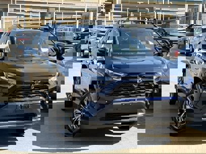 Used 2025 Toyota RAV4 XLE Premium