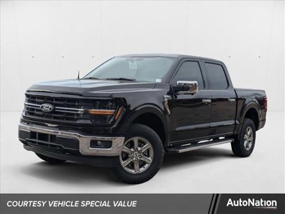 New 2024 Ford F150 XLT w/ Equipment Group 302A MID