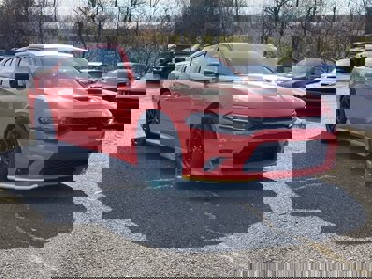 New 2023 Dodge Charger Scat Pack w/ Daytona Edition Group