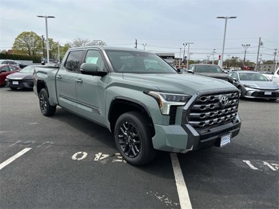 New 2025 Toyota Tundra Platinum