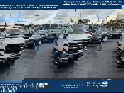 New 2024 Ford F150 XLT w/ Equipment Group 302A MID