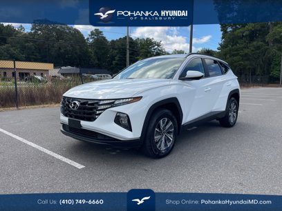 Certified 2024 Hyundai Tucson Blue