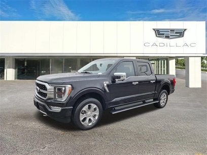 Used 2023 Ford F150 Platinum w/ Equipment Group 701A High