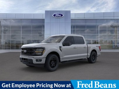 New 2024 Ford F150 XLT w/ Equipment Group 302A MID