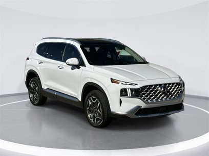 Used 2023 Hyundai Santa Fe Limited