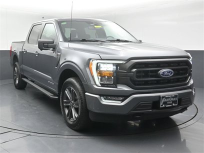 Used 2023 Ford F150 XLT w/ Equipment Group 302A High