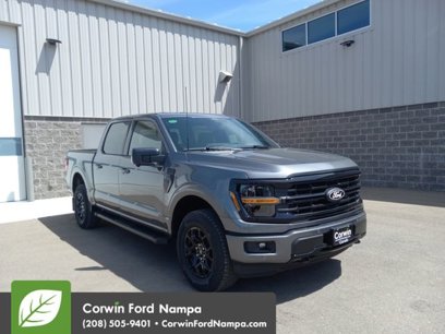New 2025 Ford F150 XLT