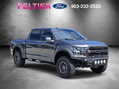 Used 2019 Ford F150 Raptor w/ Equipment Group 802A Luxury