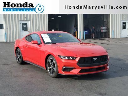 Used 2024 Ford Mustang Premium