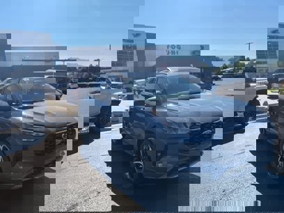 New 2024 Ford Escape ST-Line Select w/ Tech Pack #2