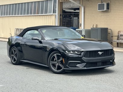 Used 2024 Ford Mustang Premium