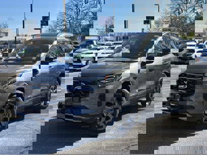 New 2025 Ford Escape ST-Line w/ Tech Pack #1