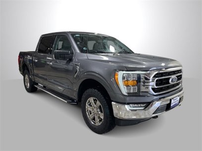 Used 2023 Ford F150 XLT w/ Equipment Group 302A High