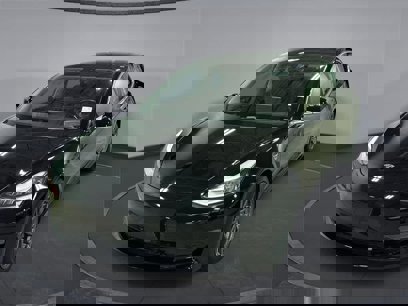 Used 2019 Tesla Model 3 Standard Range Plus