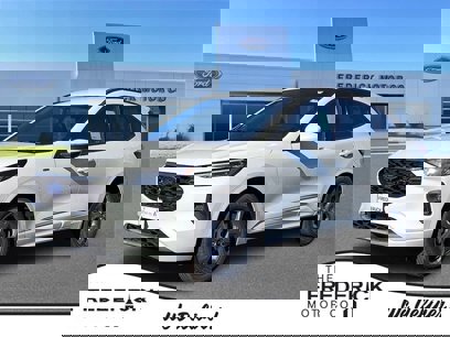 New 2024 Ford Escape ST-Line Select w/ Tech Pack #2