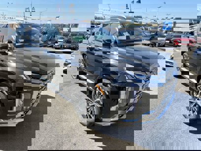 New 2025 Hyundai Palisade Calligraphy