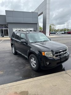 Used 2009 Ford Escape XLT