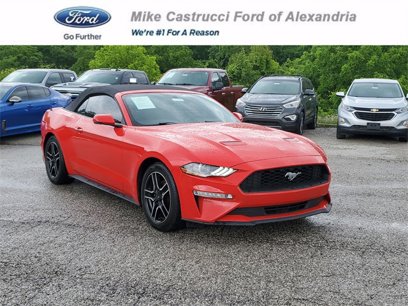 Used 2019 Ford Mustang Premium