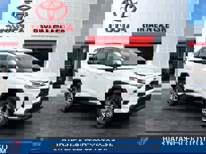 New 2025 Toyota RAV4 LE